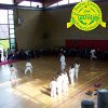 Festa_Primav_2011_karate